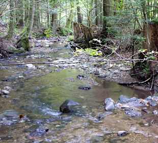 Wandern Miesenbach bei Birkfeld