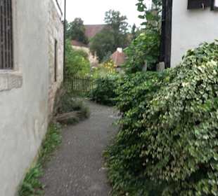 Altwege Rundwanderung Bebenhausen