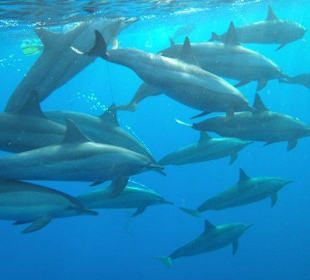 Alle Bilder an einem Tag!