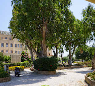 Altstadt Rhodos Stadt