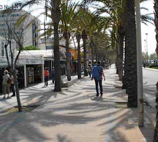 Ansichten der Playa dePalma