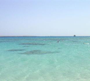 Schnorcheln am Strand