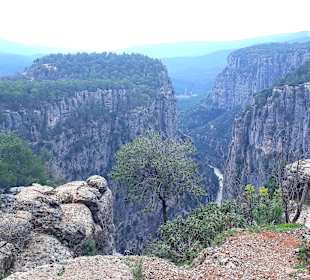 Köprülü Canyon Nationalpark