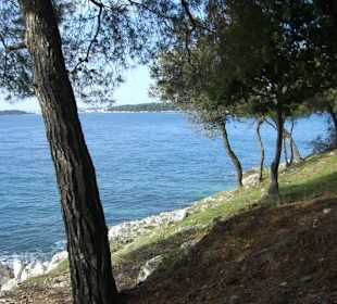 Zelena Laguna