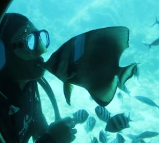 Und wieder ein Küsschen