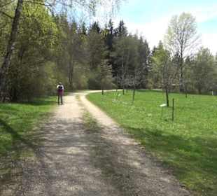 Streuobstwiesen der Hopfenburg