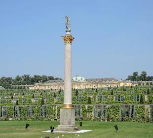 Sanssouci Schloss-/Schlossgartenimpression