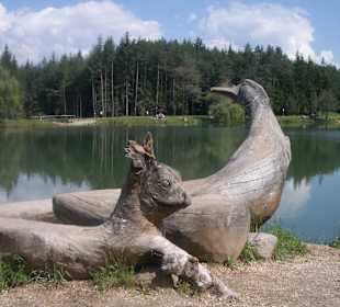 Fischen am Huber Weiher
