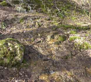 Wasserfallsteig