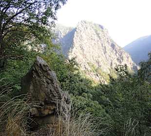Wanderung zum Hexentanzplatz