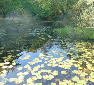 Спокойствие водных гладей