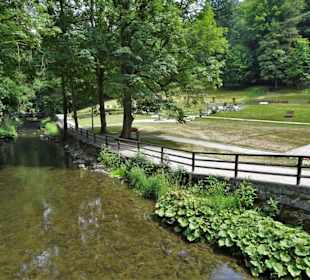 Die Ölschnitz am Kurpark von Bad Berneck