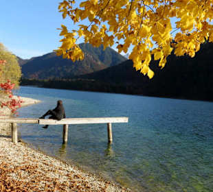 Herbstzauber