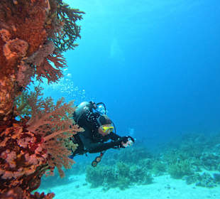 ORCA Dive Club Moreen Beach