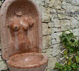 Welcher Mann kann da widerstehen ?