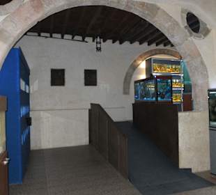 Old Town Aquarium, Rhodos