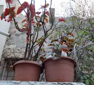 Wyspa Wulkaniczna Nisyros