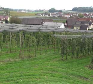 Aussichtspunkt Antoniuskapelle Selmnau