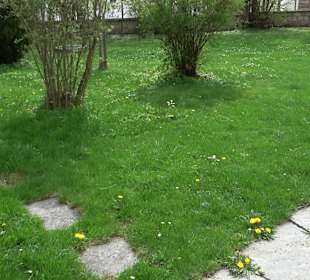 Nikolauskirche Seißen