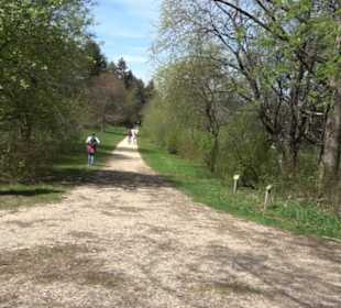 Rundweg am Beutenlay