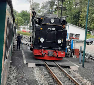 Der rasende Roland