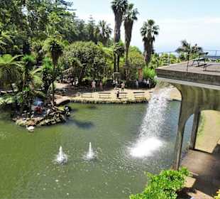 Eindrücke aus dem Monte Palace Tropical Garden