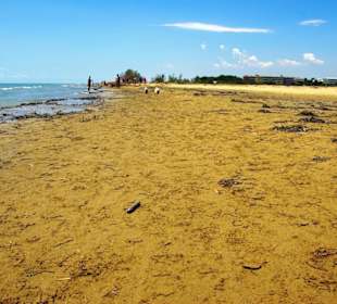 Richtung Bibione zurück
