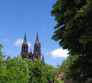Dom