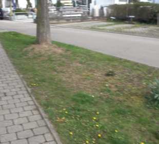 Alter Friedhof