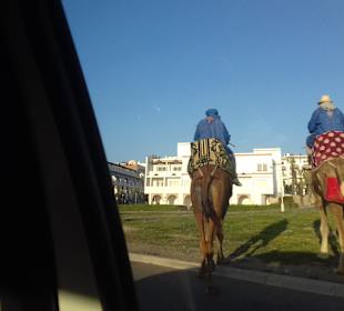 Stadtrundfahrt Agadir