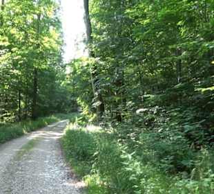 Waldlehrpfad St. Johann