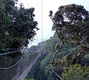 Nationalpak Nyungwe Wald 