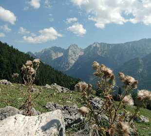 Wilder Kaiser