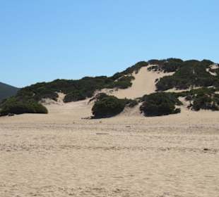 Le dune bianche