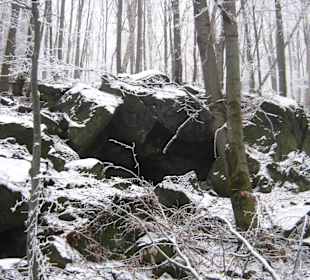 W drodzę na Ślężę