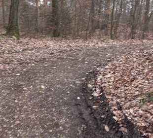 Unterjesinger Wengertwegle