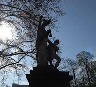 Historische Platanenallee im Unteren Schloßgarten