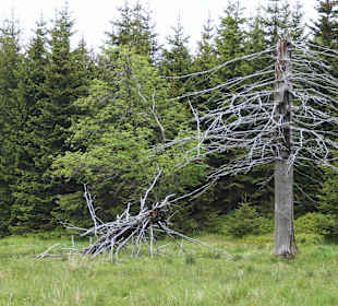 Karkonoski Park Narodowy