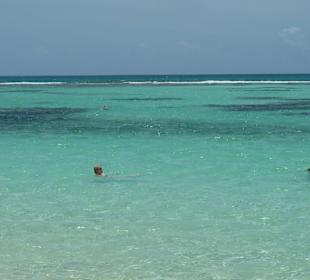 Insel Saona