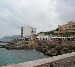 Bar's bei Tageslicht