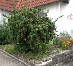 Evangelisch-methodistische Kirche