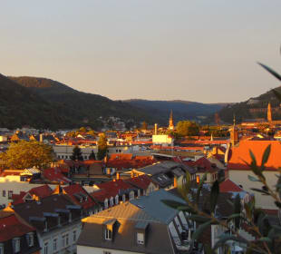 Jil Rooftop Drink&Dine