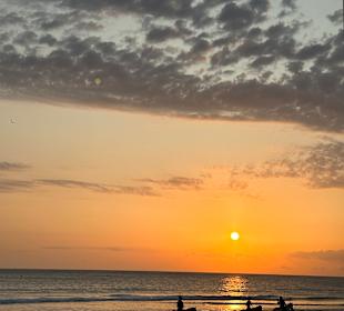 Reiten Cortijo Calinka Ranch Novo Sancti Petri