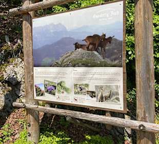 Wandern Kirchberg in Tirol