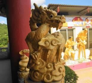 Das ist kein Buddha, aber ein heiliges Tier