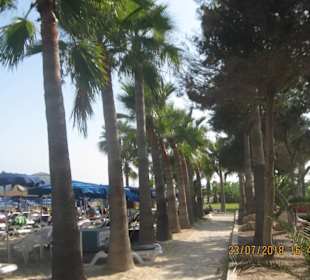 Nissi Beach "Allee"