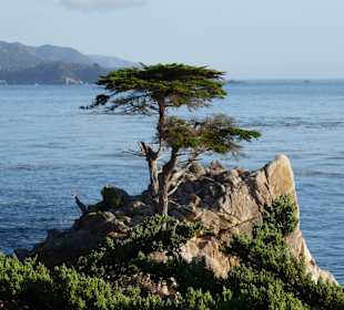 17 Mile Drive 