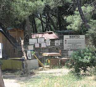 Cat Shelter