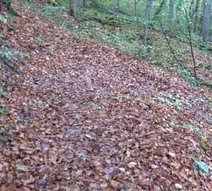 Wandertour "Rund um den Rossberg" Öschingen