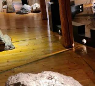 RiesKraterMuseum Nördlingen